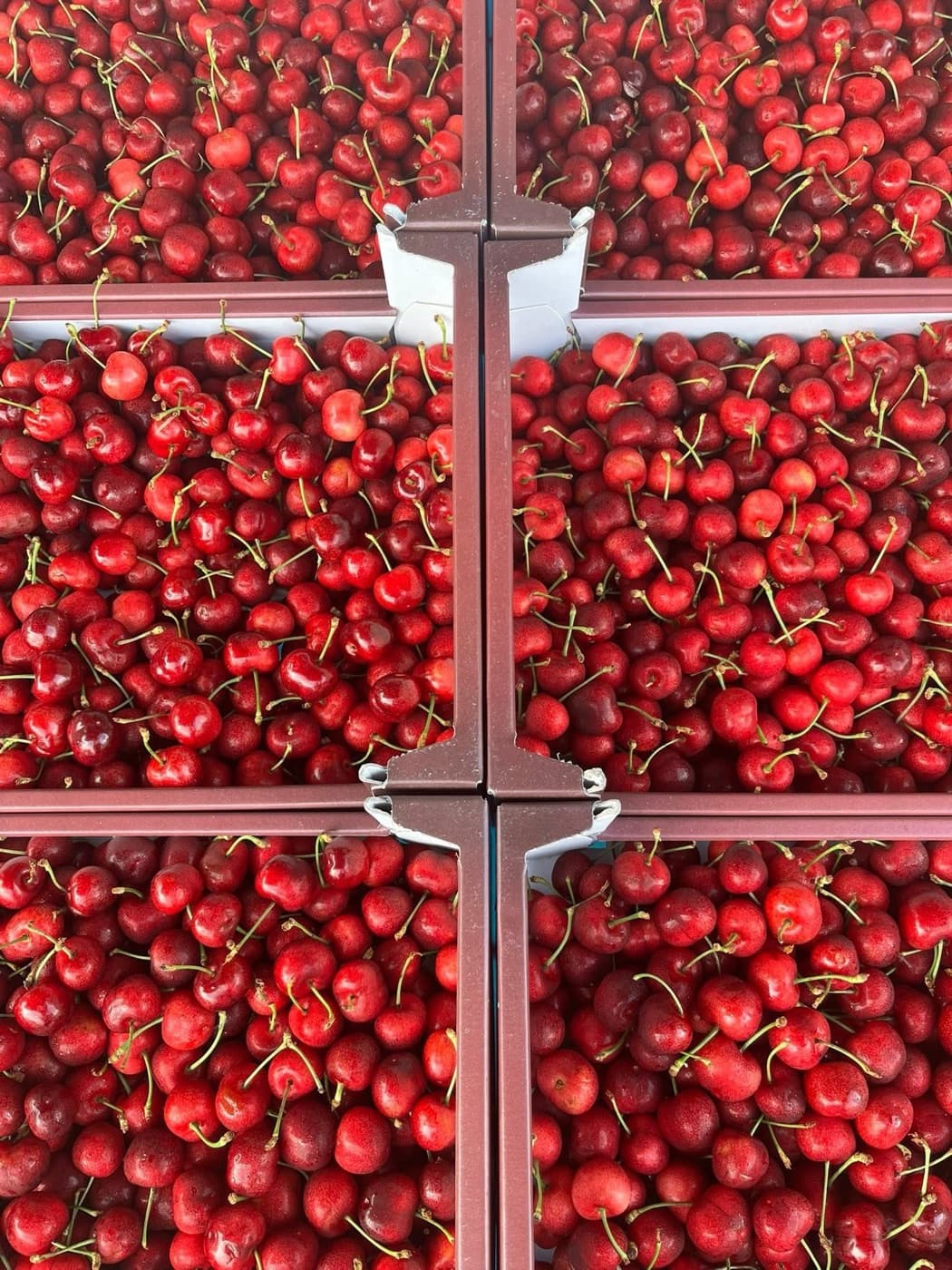 Étal de fruits et légumes frais d'Au Petit Primeur